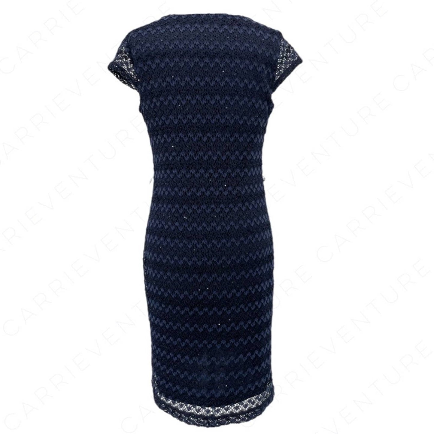 Sharagano Dress Deep Navy Blue Lace Overlay Sequin Shimmer Chevron Pattern Size 6